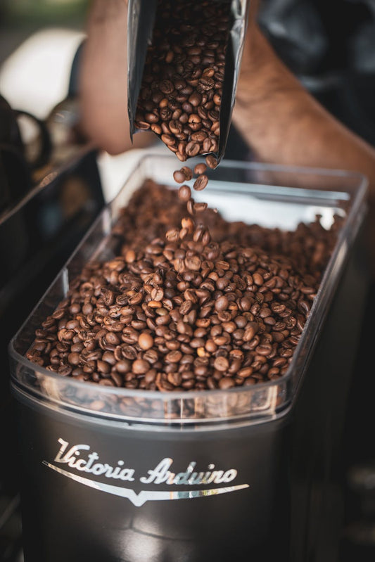 Pouring coffee beans into an airtight container to preserve freshness