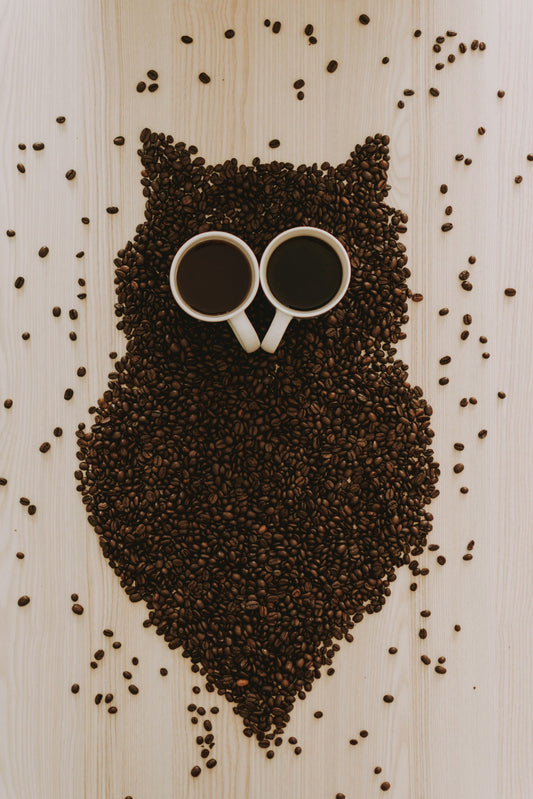 Overhead of mixed coffee mugs with varied shapes and colors on coffee beans